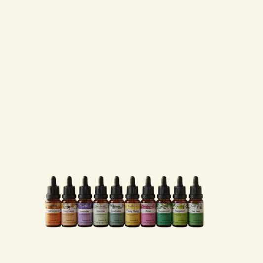 Halo Wellness flacons d'huiles essentielles pures de 10ml avec compte-gouttes, assortiment de parfums naturels